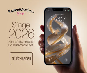 Couleurs tendance 2026 du Singe: téléchargez l'écran d'accueil mobile