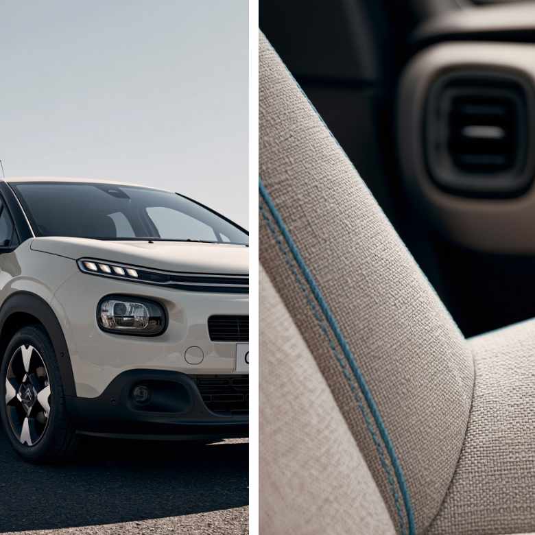 Car color trends 2027 for the Monkey